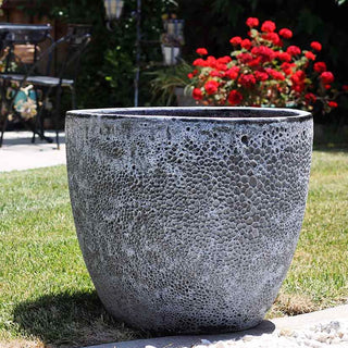 Textured Pottery Black Shell