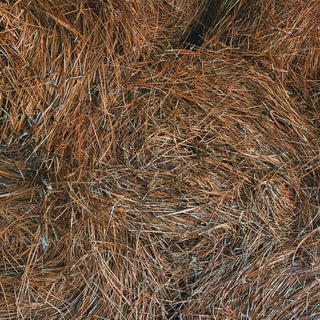 Pine Straw (Roll)