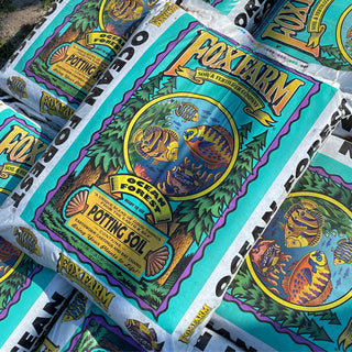 Ocean Forest® Potting Soil (12 quart)