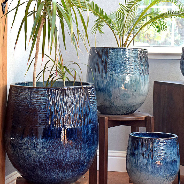 palms plants pottery Oceanside Blue Pottery