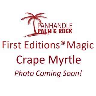 First Editions® Magic Crape Myrtle