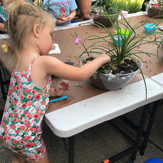 Miss Laurie's Fairy Gardens