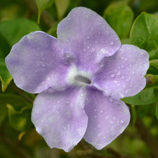 Yesterday, Today and Tomorrow