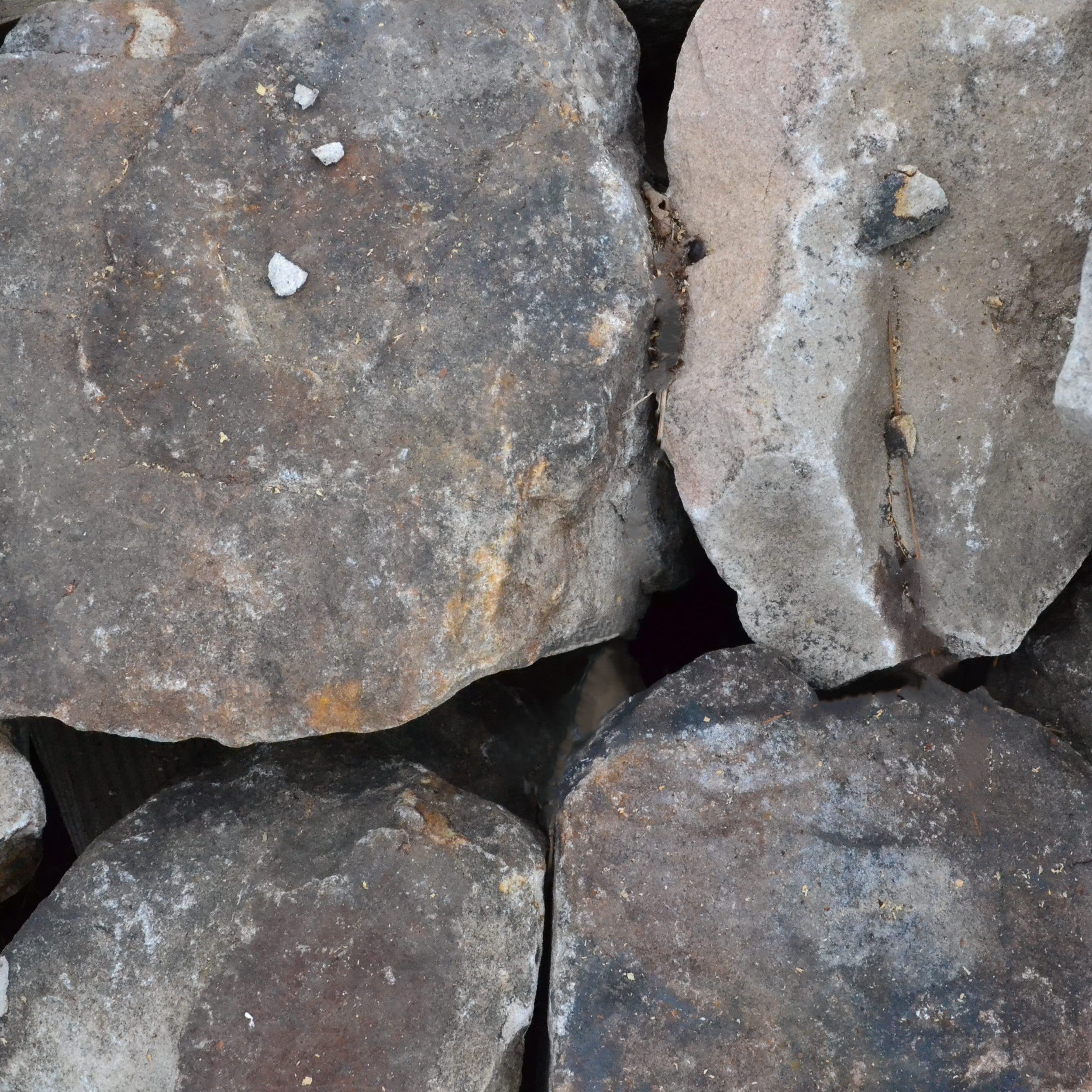 Fieldstone Rocks Devon Fieldstone (Per lb) – Panhandle Palm & Rock