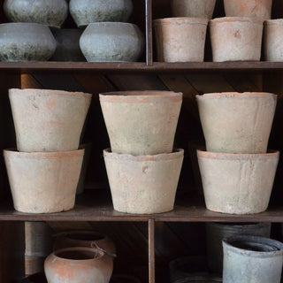 Bexley Terra Cotta Pot