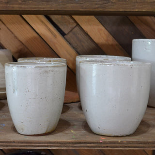 White Spotted Anthurium Pot