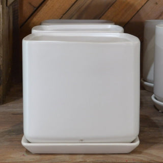 Cube w/ Attached Saucer