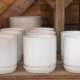 Cylinder Pot w/ Attached Saucer