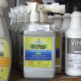 Horticultural Oil RTS (1 qt)