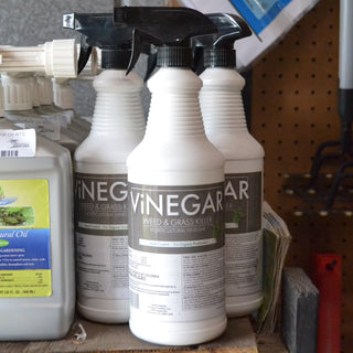 Vinegar Weed Killer