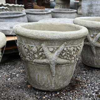 Seashore Planter