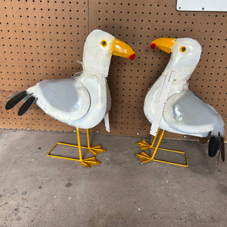 Seagull