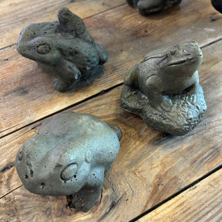 Small Concrete Frogs