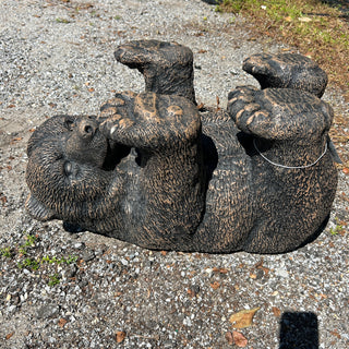 Bear on Back