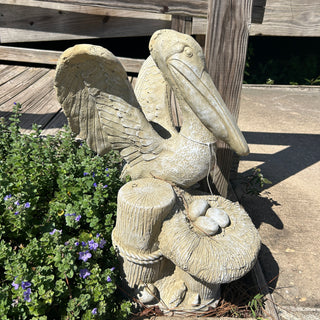 Pelican with Nest