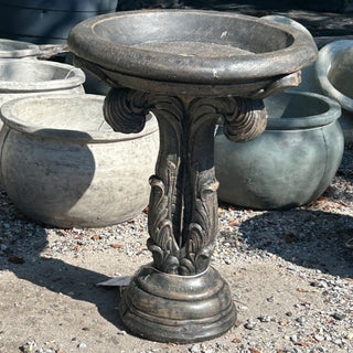 Vinca Major Birdbath